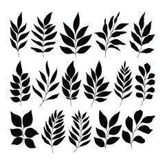 Set of branch and leaves vector