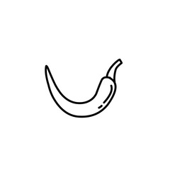 hand drawn chili outline