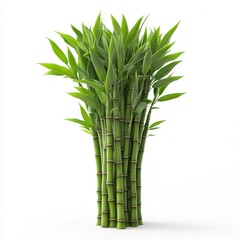 Obraz premium Lush Green Bamboo Plant, Isolated on White Background