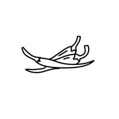 hand drawn chili outline