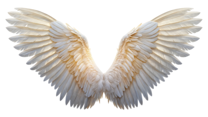 Pair of White Angel Wings, Isolated on Transparent Background, Feathery, Spiritual, Design Element, Angel wings, Spiritual, Design