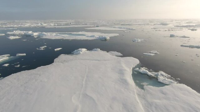 Serene Arctic Ocean #19: Stunning Reflections, Sea Ice, Bright Horizons, Gentle Ocean, and Climate Change Impact in Pristine Polar Seascapes 
