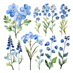 the AI Image Generator, Collection of Watercolor Painted Forget-Me-Nots