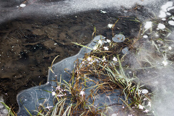 Thin ice on the shore of a reservoir at the beginning of winter