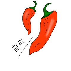 Jalapeño or halapenyo or mexicon chili with korean language in white background 