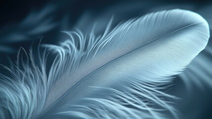 Fototapeta premium Serene Blue Feather: A Close-Up Macro Photograph of Delicate Plume, Soft Texture, and Dreamy Hues. Peaceful Nature Image, Perfect for Abstract Art and Design.