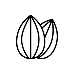 Almond icon Art design illustration