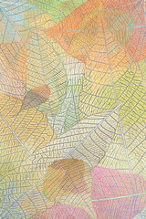 Feuilles d’automne 