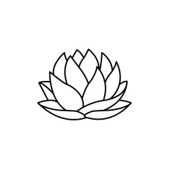 Water lily icon Art design illustration