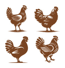vector set silhouette of chicken - hen (artwork 1)