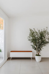 Minimalist interior design featuring a bench and a potted plant in a bright space