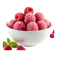 Fresh raspberries with raspberry sorbet in a dish.