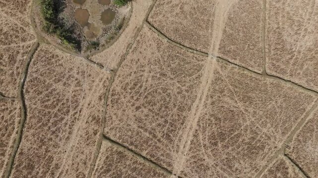 Top down drone footage above rice field and hole made in the 60s during the war by B52 plane, Muang Ngoy, Luang Prabang province, Lao PDR