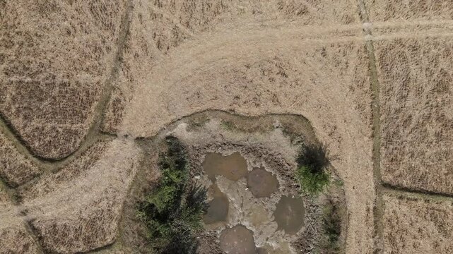 "Heritage from the past" drone view above rice fields and some circular ponds"" made by the B52 during the secret war, Muang Ngoy, Lao PDR