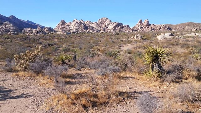 Kelso Pinto Basin Dunes Joshua Tree National Park California aerial drone Yucca Trees San Fernando County Mojave Colorado desert blue sky rugged hill rock formation sunny afternoon forward pan up