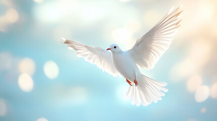 Obraz premium White dove in flight, peaceful sky, bokeh background, hope symbol, spiritual imagery