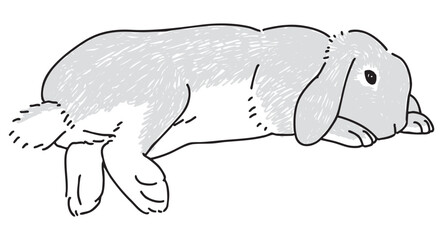 寝転んでいる垂れ耳ウサギの手描きイラスト