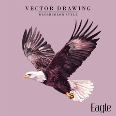 Eagle Watercolor Vector Stock Illustration