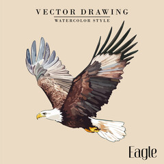 Eagle Watercolor Vector Stock Illustration