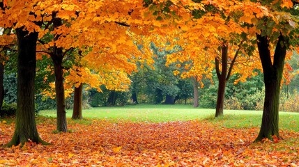 Autumnal Park Landscape: Golden Leaves and Trees