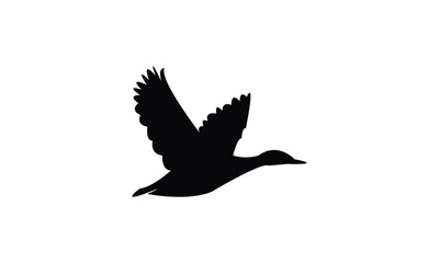 Flying Black Duck Bird Silhouette Design  And Vector Illustration. 
