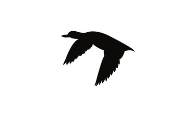 Flying Black Duck Bird Silhouette Design  And Vector Illustration. 
