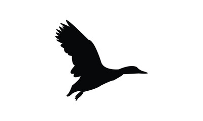 Flying Black Duck Bird Silhouette Design  And Vector Illustration. 
