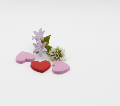hearts white background  valentine porpose