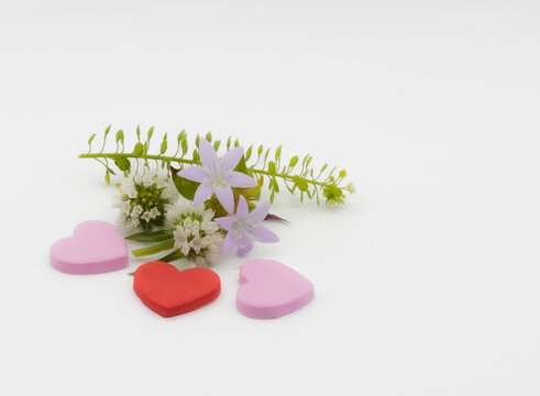 hearts white background  valentine porpose