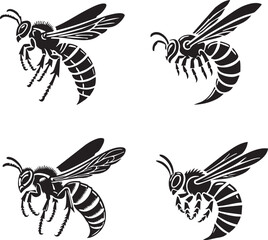 High-Quality Monochrome Vector Silhouettes of the Silver-Tailed Hornet Isolated on a White Background