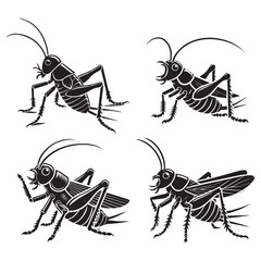 Detailed Monochrome Vector Silhouettes of the Singing Cricket Isolated on a White Background