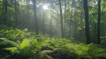 Obraz premium A serene forest with sunlight filtering through dense green canopies, dew-kissed ferns in the foreground