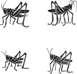 Detailed Monochrome Vector Silhouettes of the Stilt-Legged Grasshopper - Set of 4 Isolated on a White Background