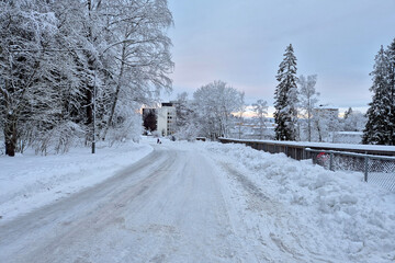 Winter