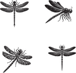 Monochrome Vector Silhouettes of the Swamp Dragonfly - Set of 4 Isolated on a White Background