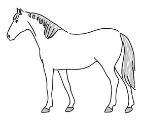 芦毛の馬のイラスト