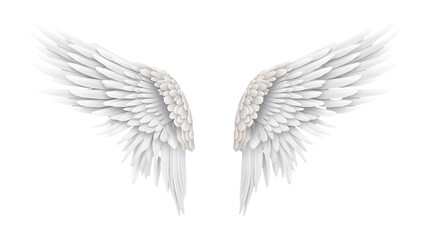 Majestic White Angel Wings on a transparent background