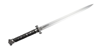 Elegant Silver Sword with Intricate Black Handle