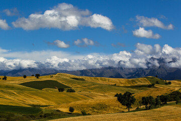 Fototapeta premium Beautiful autumn fields in Xinjiang in China.