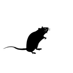 silhouette of a mouse