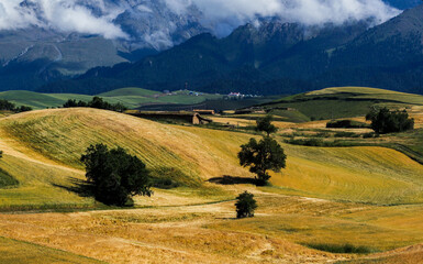 Beautiful autumn fields in Xinjiang in China.