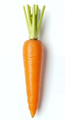 Carrot Isolated On White Background, Full Depth Of Field