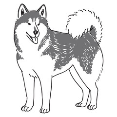 シベリアンハスキーの手描きイラスト