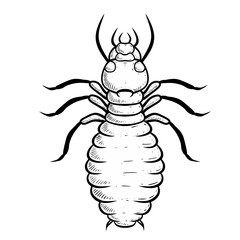 Obraz premium Sketch illustration of isoptera isolated