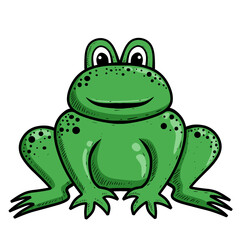 green frog isolated on white