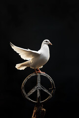 dove of peace