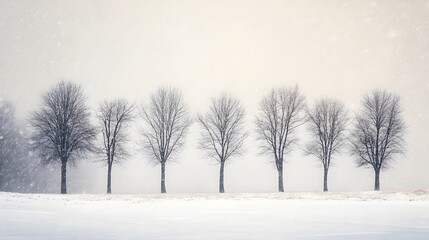 Six Bare Trees Stand In A Snowy Winter Landscape