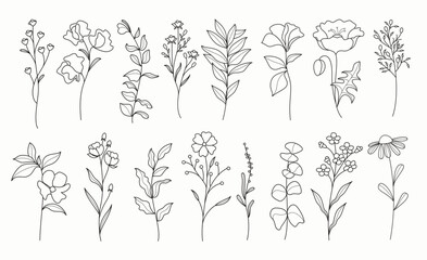 Flower outline floral clipart set. Spring flowers drawing lines in black and white hand drawn clip art flat graphic elements collection. Vector illustration flora outline pattern set. 
