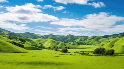 Naklejka premium Vibrant Green Valley Landscape Under a Sunny Sky