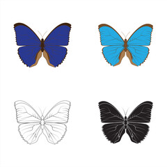 Set of colorful butterflies